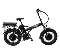 Elbike Taiga 3 Twix 2000